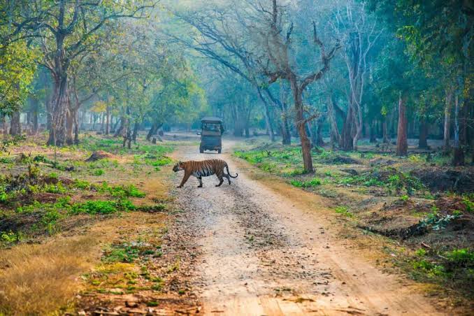 Nagarahole National Park